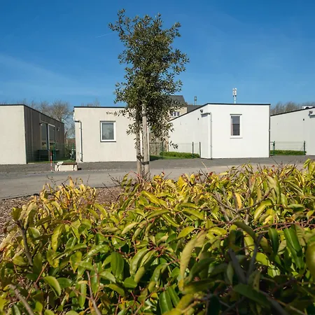 New Dahlia 8 By Interhome Vakantiehuis Bredene